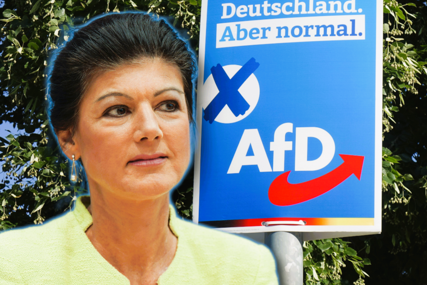 AfD stärkste Partei nach den Neuwahlen? Umfrage-Werte steigen weiter, gibt es den AFD-Kanzler?