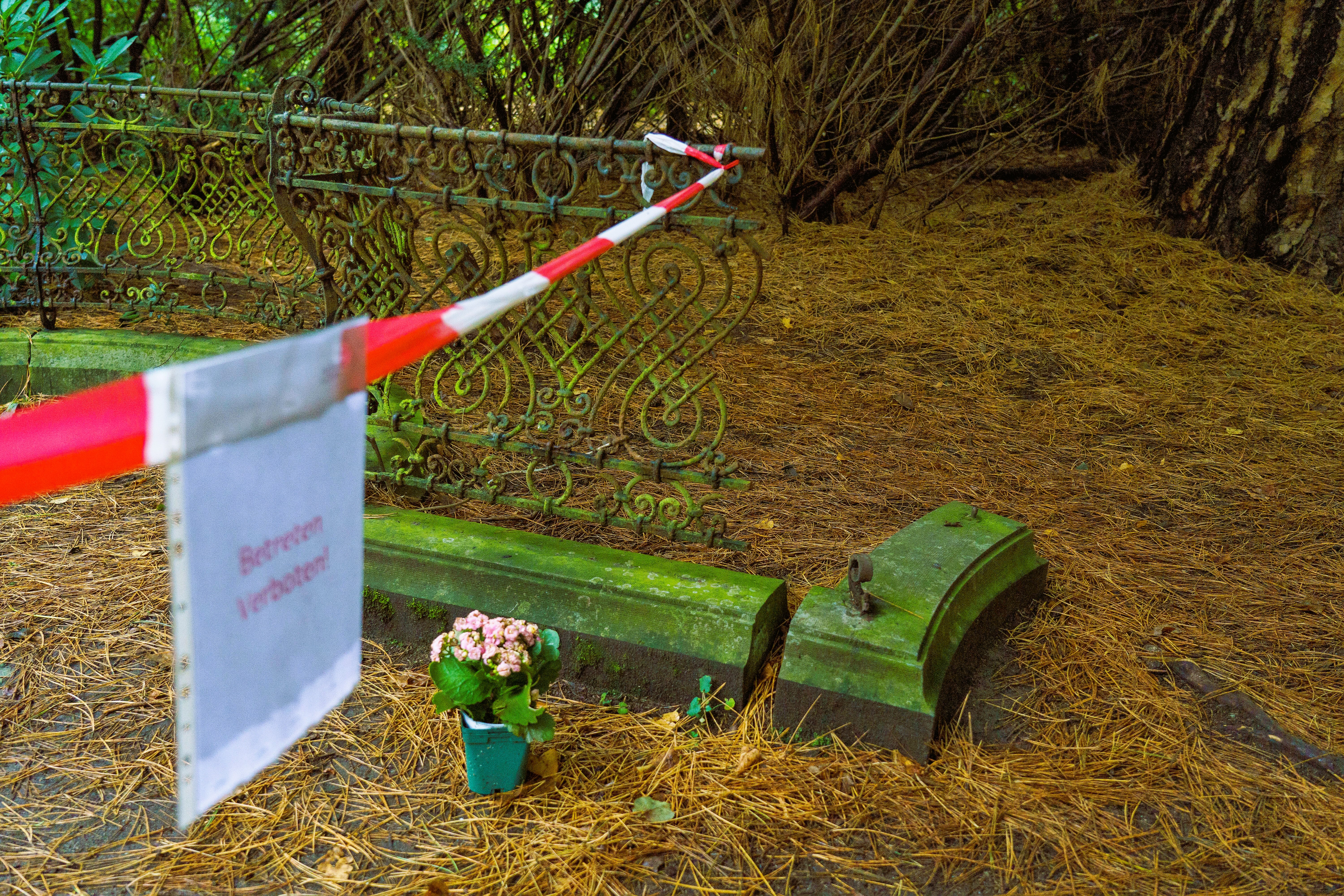 Jan Fedders Grabstätte beklaut! Diebe rauben Gegenstände von der Ruhestätte des Kult-Schauspielers