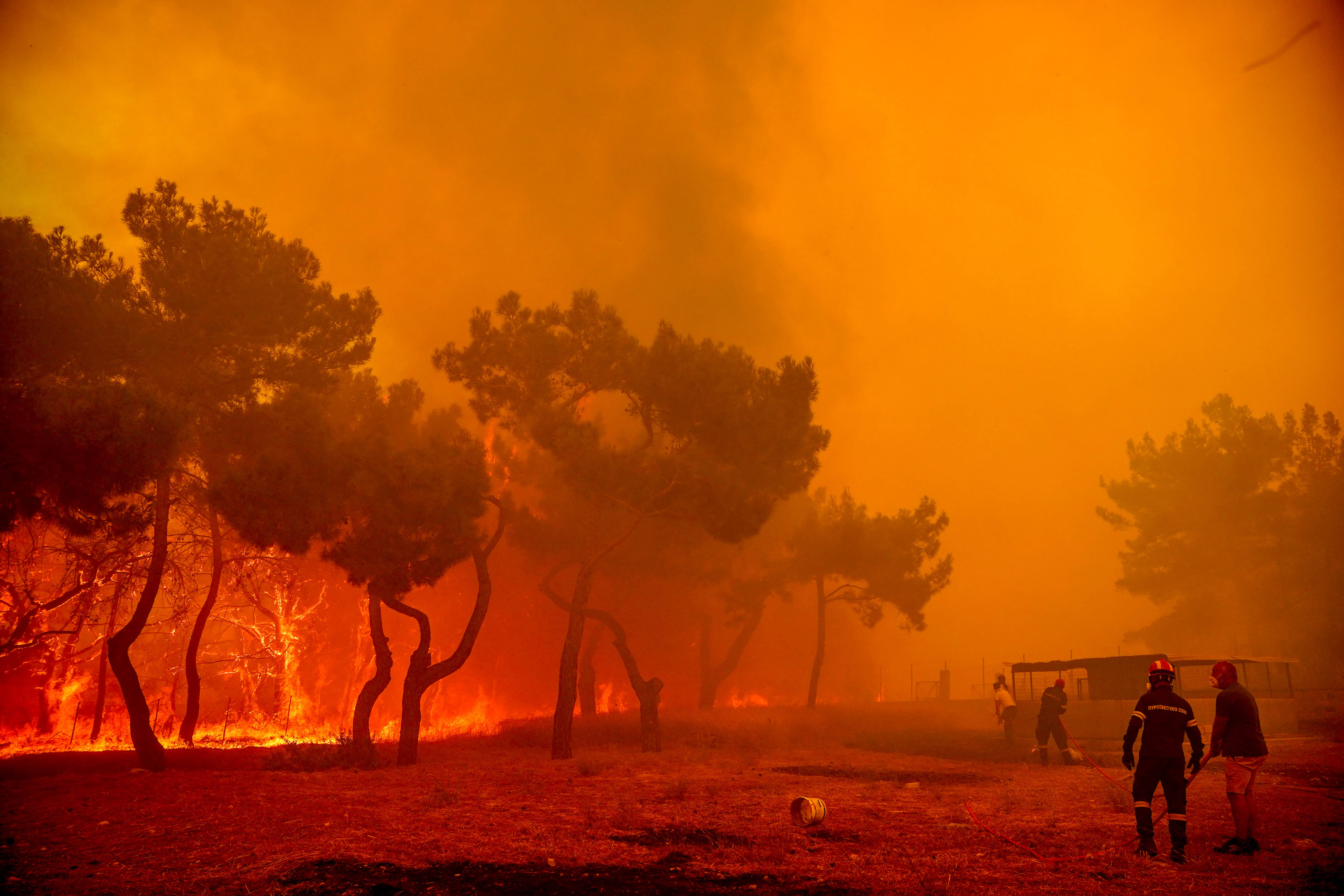 Feuerinferno in Ferienparadies! Großflächige Brände toben - Bislang 7 Todesopfer durch die Flammenhölle