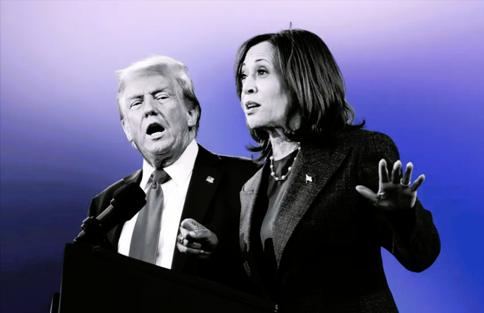 Verhaftet Trump Kamala Harris nach seiner Amtseinführung? Müssen Systemkritiker jetzt zittern?