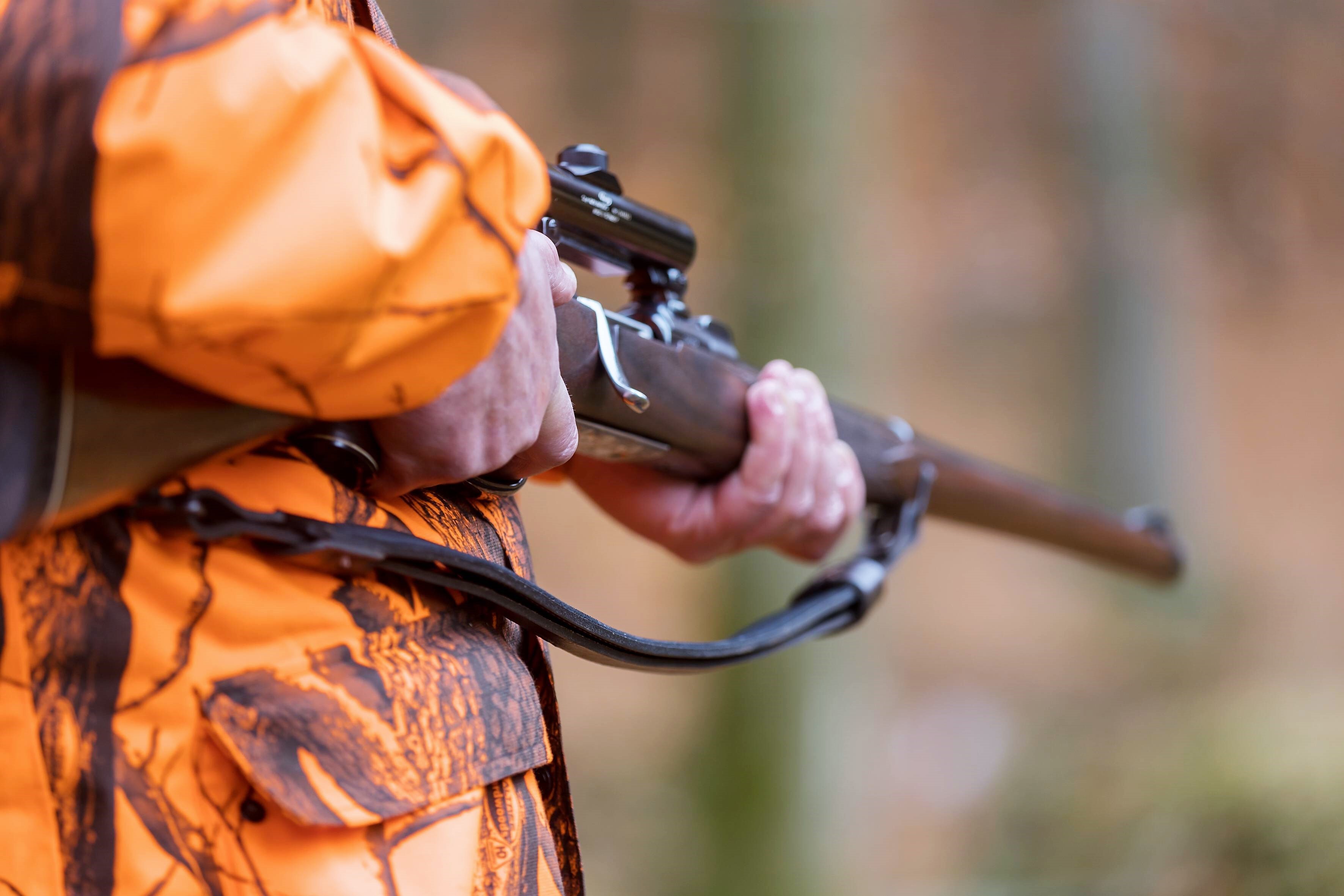 Aggressiver Hirsch spießt Wanderin auf! Frau durch unerwarteten Angriff schwer verletzt
