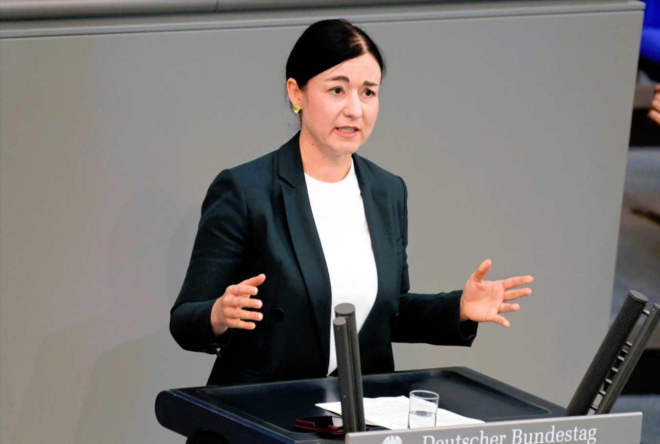 Eklat im Bundestag - Grünen-Politikerin fordert Abschiebung von Jens Spahn!